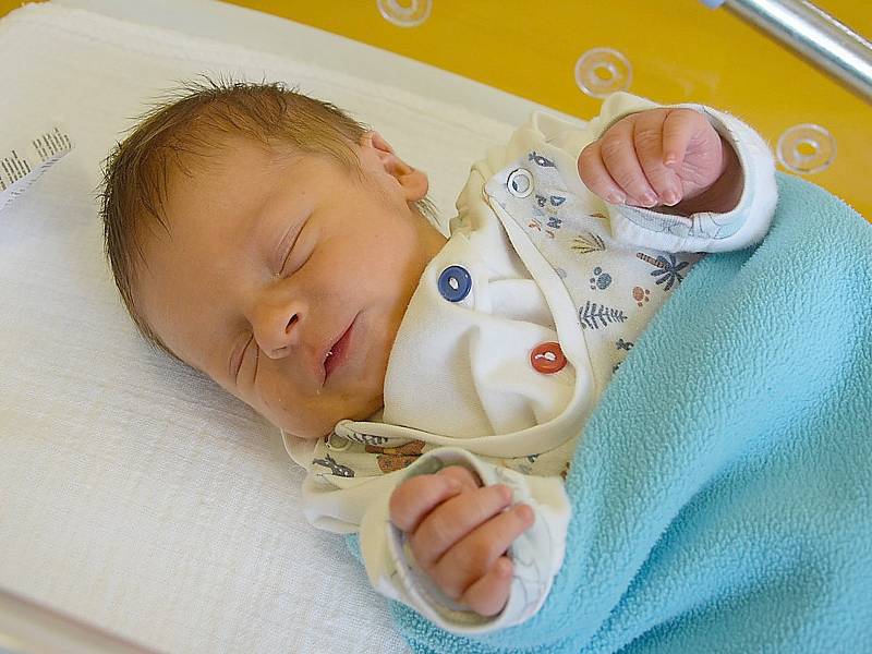 Bart Bednárik se narodil 29. října 2021 4 minuty po půlnoci v benešovské porodnici. Vážil 3160 g. Doma v Sázavě se z něj radují rodiče Nikola a L'ubomír a sestřička Dominika (11 let).