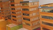 Děti i rodiče se o víkendu ve Včelím světě v Hulicích dozvěděli zajímavosti o chovu včelstev a vyzkoušeli si zdobení medových perníčků i výrobu svíček.