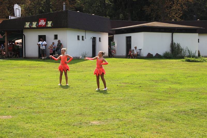 Benefiční festival Open Door Hospital fest se uskutečnil v sobotu v Nové Myslivně na Konopiště.