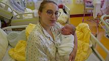 Tobias Holeksa se Dominice a Petrovi narodil v benešovské nemocnici 3. června 2022 v 5.14 hodin, vážil 4430 gramů. Bydlištěm rodiny je Kostelec u Křížků.