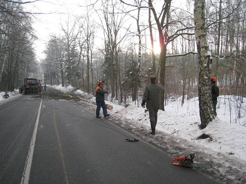 Kácení stromů v místě budoucí stezky pro chodce a cyklisty mezi Týncem nad Sázavou a Bukovany.