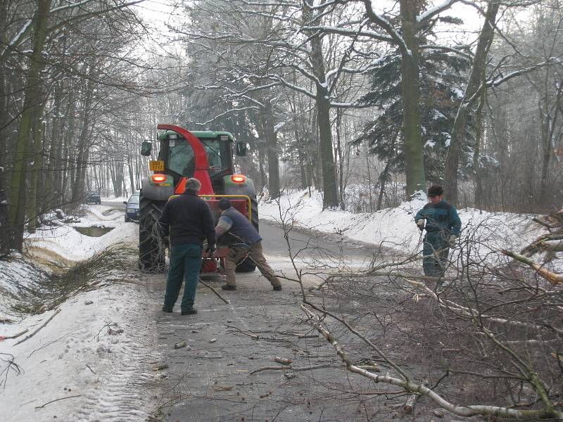 Kácení stromů v místě budoucí stezky pro chodce a cyklisty mezi Týncem nad Sázavou a Bukovany.