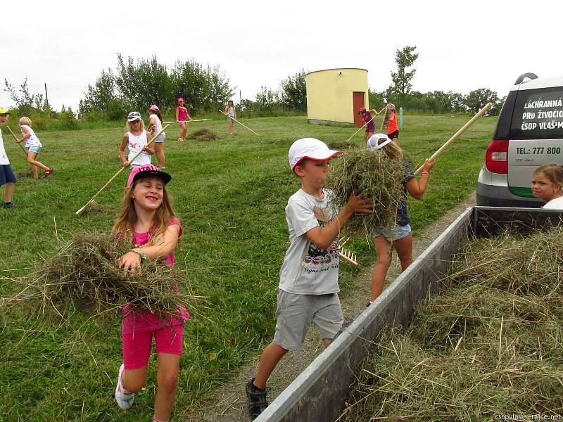 Malí táborníci si s ochránci přírody užili různorodý program.