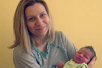 Kateřina Jílková a Martin Větrovec z Maskovic u Netvořic se 27. dubna v 15.50 stali rodiči prvorozené dcery Emmy. Na svět přišla s váhou 3,61 kilogramu a mírou 50 centimetrů. 