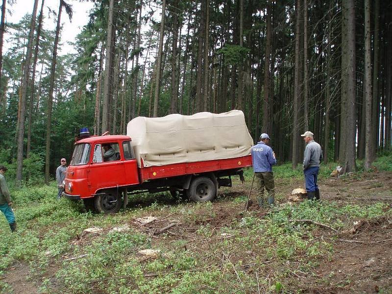 Hasiči se po brigádě v lese připravují na oslavy výročí