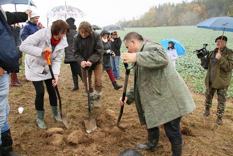 Vysazování stromů podél cesty ze Zvěstova do Ratměřic se zúčastnilo na padesát brigádníků z obou obcí.