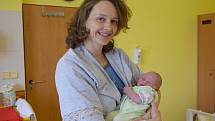 Anna Žižková se manželům Adéle a Janovi narodila v benešovské nemocnici 26. března 2022 ve 2.29 hodin, vážila 3180 gramů. Doma ve Stržinci na ni čekal bratr Prokop.