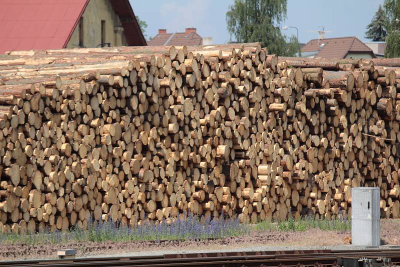 Zásoby dřeva na nádraží v Benešově připravené na transport.