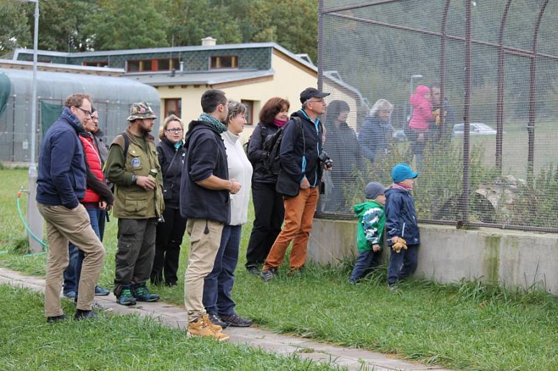 Nemocná zvířata našla domov v záchranné stanici v Pavlovicích.