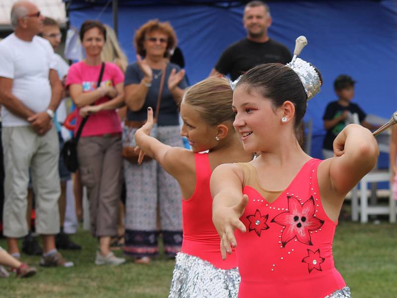 Benefiční festival na podporu dlouhodobě nemocných pacientů benešovské nemocnice Open door hospital fest. 