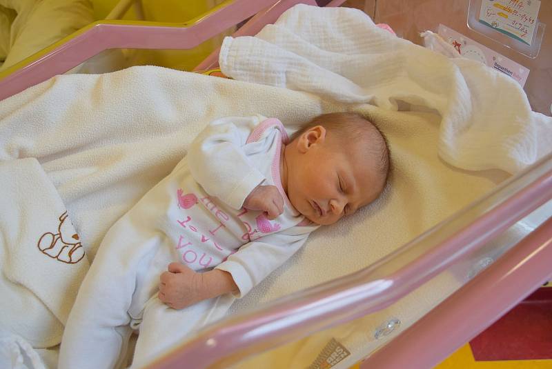 Mia Štamberská se manželům Tereze a Markovi narodila v benešovské nemocnici 24. listopadu 2022 ve 14.43 hodin, vážila 3190 gramů. Doma v Břežanech na ni čekal bratr Marek (3).