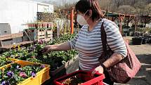 Na Zelený čtvrtek zákazníci vyrazili ve velkém za nákupy - zahradnictví Raud Benešov.
