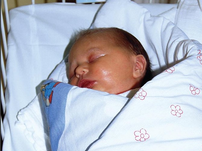 V benešovské porodnici se rodí stále hodně dětí.