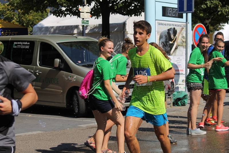 vyvrcholení Benešovského běžeckého festivalu, Benešovská desítka.