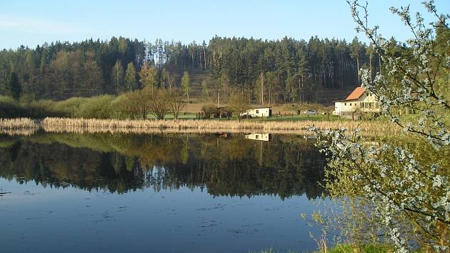 Ekovesnička v Peceradech by měla vzniknout na břehu Podhájského rybníka.