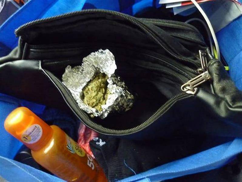 Služební pes celníků vyčmuchal ve vlaku marihuanu.
