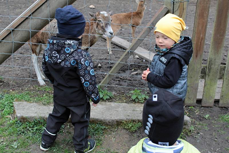 Z obůrky pro lesní zvěř v zámeckém parku na Konopišti.