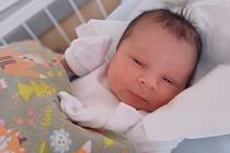 Bernard Urban se narodil dne 18. dubna v kladenské porodnici. Po porodu vážil 3,52kg a měřil 49 cm. S rodiči Ivetou a Václavem Urbanovými bude bydlet v Kladno-Švermov.