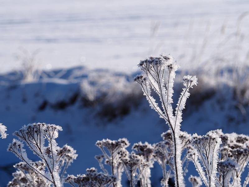 Poslední skutečně mrazivý den letošní zimy, kdy bylo nějakých -18°C, zvěčnila naše čtenářka Káča Skalská.