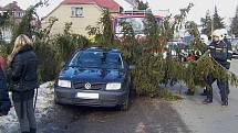 Ve vlašimské Lidické ulici padl dnes, v pondělí 1. března strom na zaparkovaný vůz.