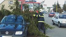 Ve vlašimské Lidické ulici padl dnes, v pondělí 1. března strom na zaparkovaný vůz.