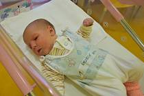 Prvním miminkem letoška je Ella Veselá z Načeradce.
