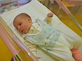Prvním miminkem letoška je Ella Veselá z Načeradce.