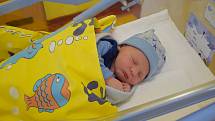 Pavel Orel se Lucii a Petrovi narodil v benešovské nemocnici 24. října 2022 v 5.06 hodin, vážil 3700 gramů. Doma v Stříbrné Skalici na něj čekal bratr Petr (6,5).