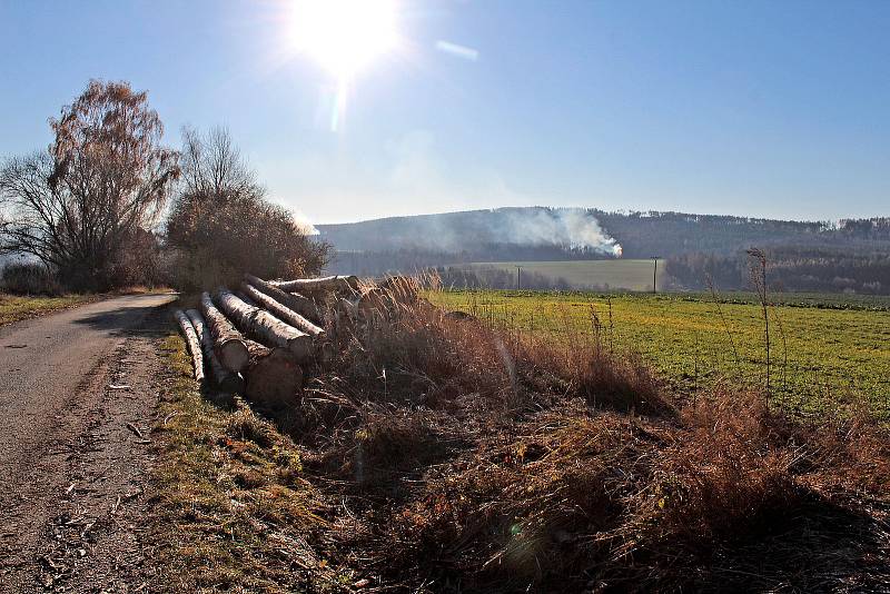 Z úklidu lesa po těžbě dřeva na sever od Trhového Štěpánova.