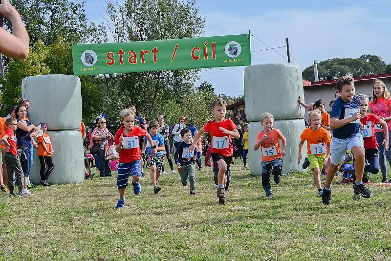 Zaječický bůr 2020. Foto: Richard Karban