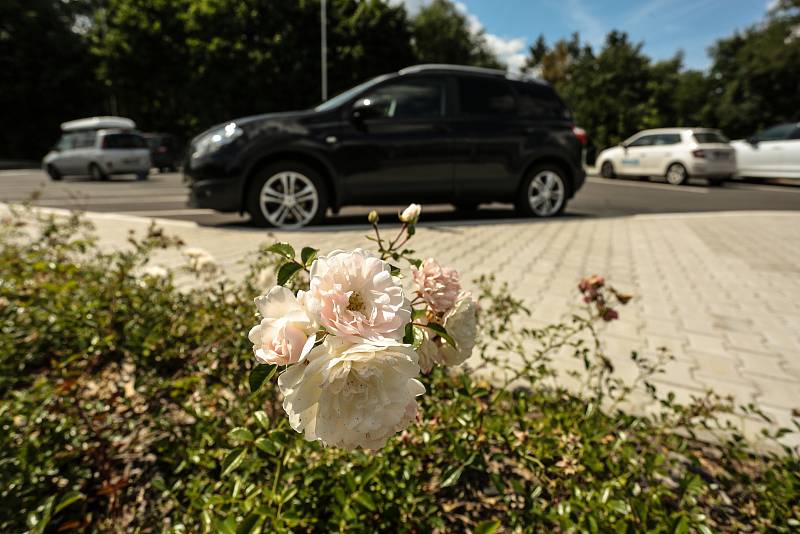 Odpočívka u Studeného ve středu 11. srpna 2021.