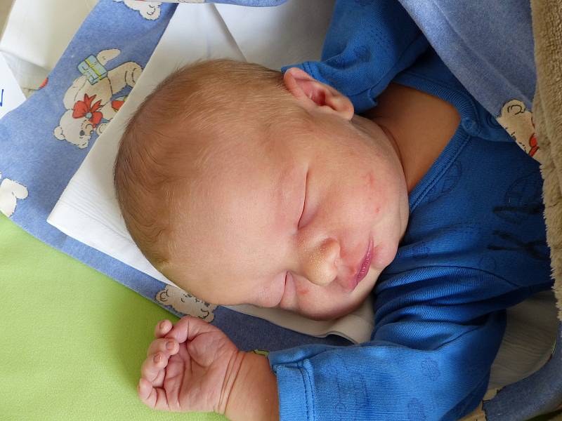 Štěpán Honzl se narodil 28. dubna 2021 v kolínské porodnici, vážil 3820 g a měřil 52 cm. V Konárovicích ho přivítali sourozenci Matěj (17), Tereza (14) a rodiče Petra a Štěpán.