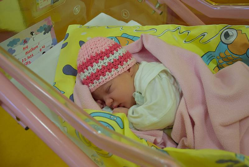 Mia Hložková se Vendule Bolenové a Milanu Hložkovi narodila v benešovské nemocnici 7. února 2022 ve 4.02 hodin, vážila 3580 gramů. Doma ve Vlašimi na ni čekala sestřička Sophinka (4).