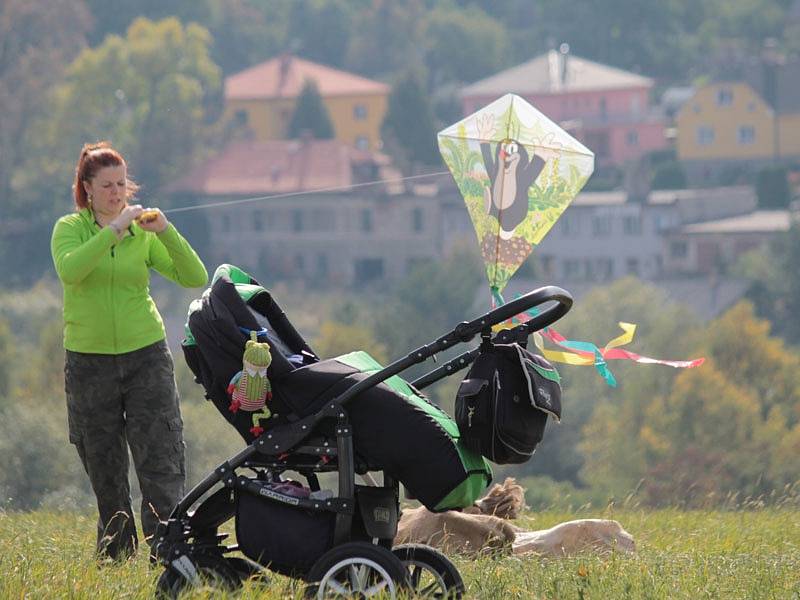 Při votickém dětském pouštění draků se vyřádili i rodiče.