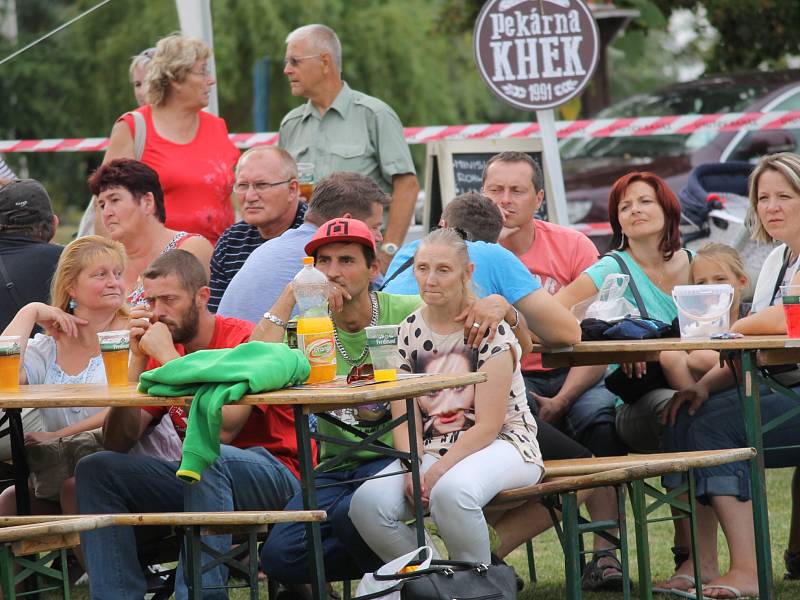 Benefiční festival na podporu dlouhodobě nemocných pacientů benešovské nemocnice Open door hospital fest. 