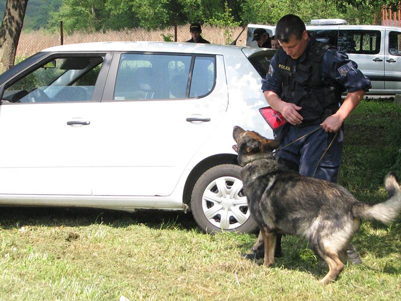 Policejní psovodi předvedli školákům čtyřnohé parťáky.