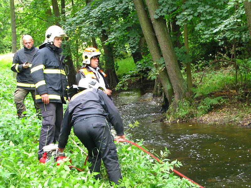 Přívěsný vozík s kobylou se v úterý po 16. hodině před Bučovicemi utrhl i se závěsem od auta, sjel do potoku Mastník, kde narazil do stromu a převrátil se.