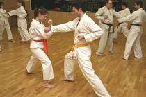 V benešovském domě dětí a mládeže se konal dvoudenní seminář karate.