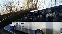 Spadlý strom na autobus na silnici mezi Benešovem a Konopištěm.