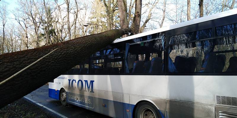 Spadlý strom na autobus na silnici mezi Benešovem a Konopištěm.