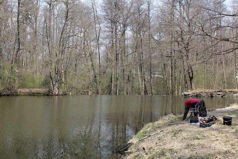 Rybaření u Konopišťského potoka nedaleko Benešova.