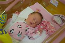 Sofie Strejčková se Michaele a Janovi narodila v benešovské nemocnici 15. srpna 2022 v 16.52 hodin, vážila 3630 gramů. Bydlištěm rodiny je Svatbín.
