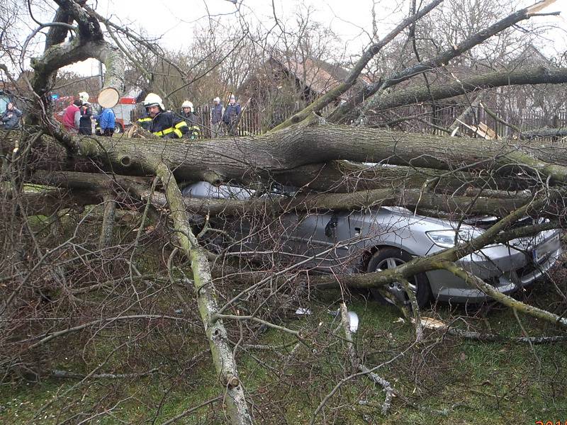 Lípa v osadě Bořetice zavalila v sobotu před 14. hodinou osobní auto. Lidé stačili utéct.