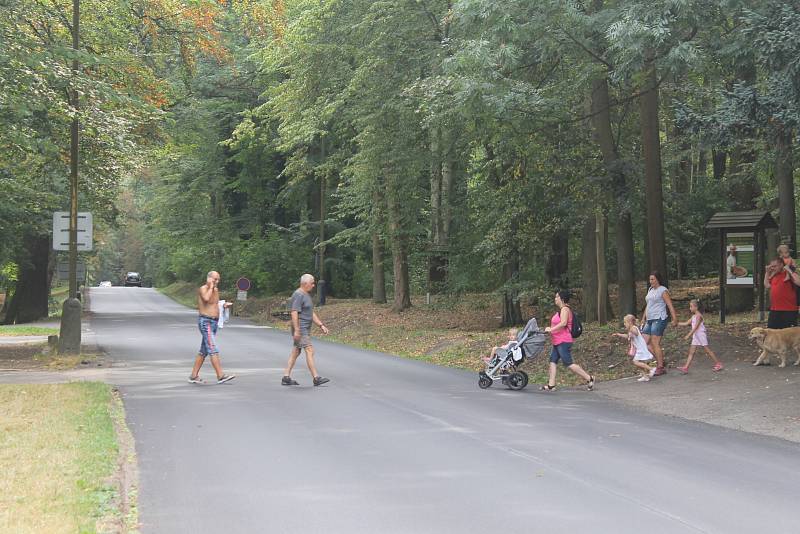 Silnici v Konopišti chybí vodorovné značení.