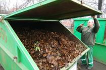 Ilustrační foto: I listí patří do kontejneru na bioodpad