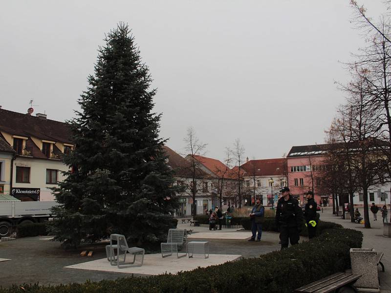 Převoz vánočního stromu na Masarykovo náměstí v Benešově.