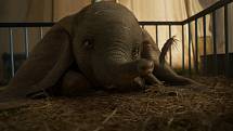 Dumbo, film