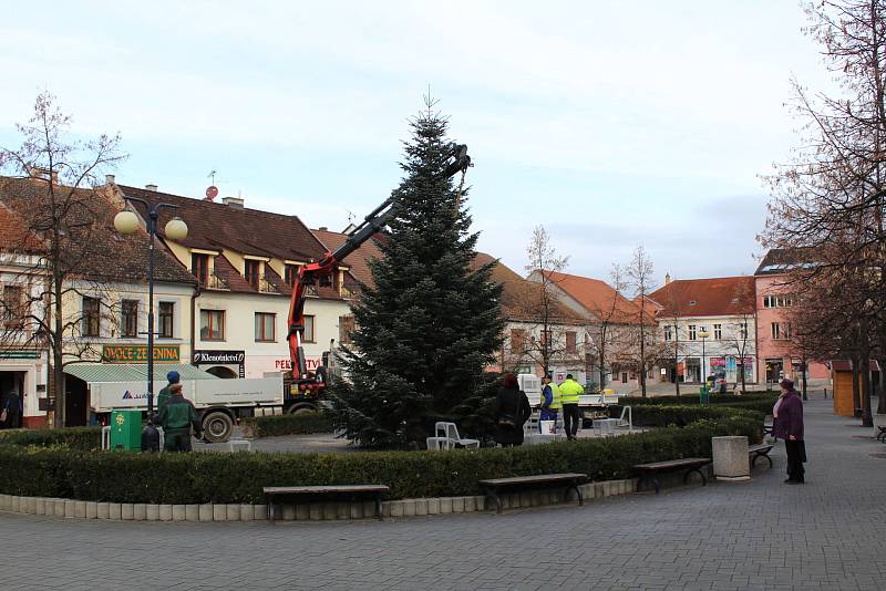 Transport a instalace vánočního stromu na Masarykovo náměstí.