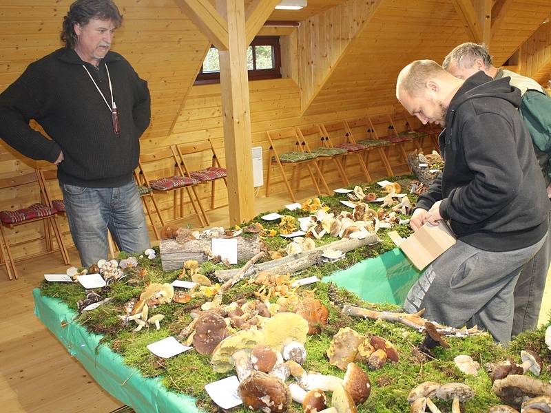 Výstava hub je otevřená v pátek, sobotu a v neděli od 10 do 16 hodin.