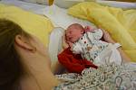 Nina Hirschová se Aleně Staré a Romanu Hirschovi narodila v benešovské nemocnici 14. března 2022  1.30 hodin, vážila 2230 gramů. Bydlištěm rodiny jsou Říčany.